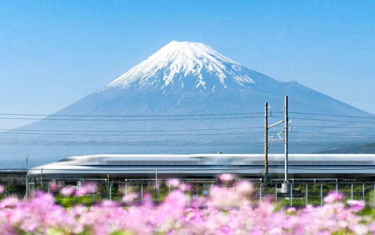 Wendy Wu discounts Japan tours